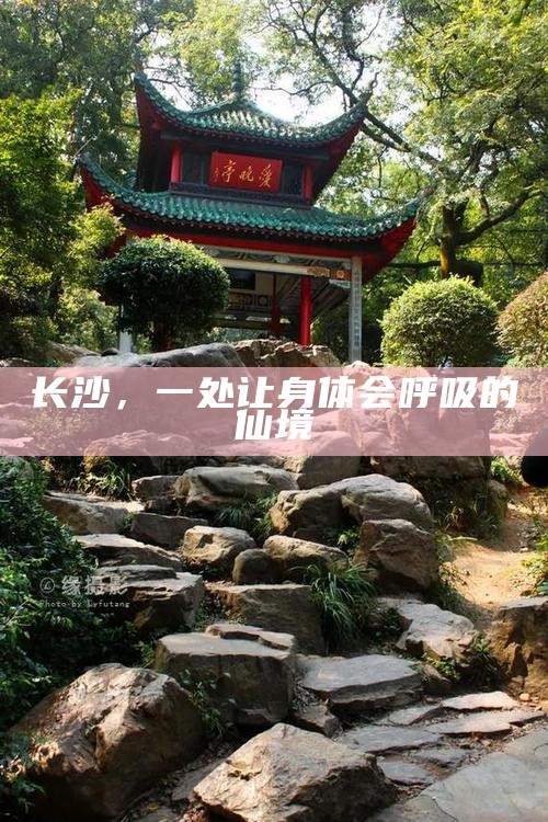 长沙，一处让身体会呼吸的仙境